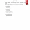 Himpunan Kertas Ujian Sumatif Tahun 3 Penggal 1 2024 Terkini
