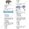 Soalan Latihan Topikal Sejarah Tingkatan 1-3