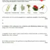 Soalan Latihan Biologi Tingkatan 5 Bab 8-10