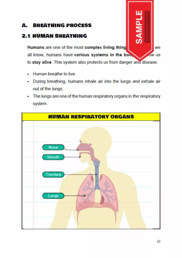 Download BBM dan Nota Sains Infografik Tahun 4 yang Awesome - Image 5
