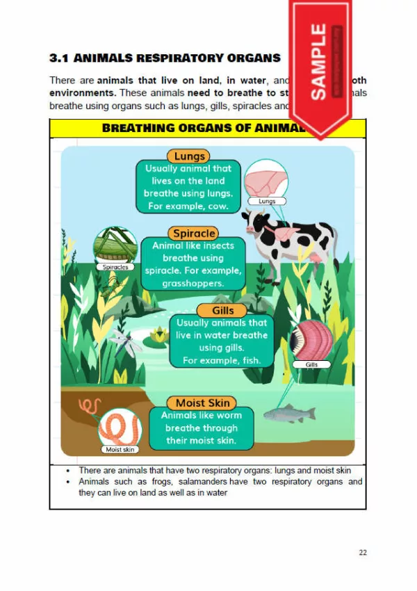 Download BBM dan Nota Sains Infografik Tahun 4 yang Awesome - Image 6