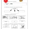 BBM Nota dan Latihan Sains Tahun 6
