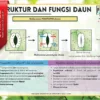Nota Biologi Tingkatan 5 KSSM PDF