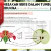 Nota Biologi Tingkatan 5 KSSM PDF