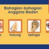 BBM Nota Latihan Prasekolah Bertema