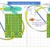 Soalan Latihan Asas Matematik Tahun 2