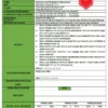 RPH dan RPT PPKI Bahasa Melayu Tahun 6 TS25
