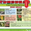 Nota Sains Tahun 6 KSSR